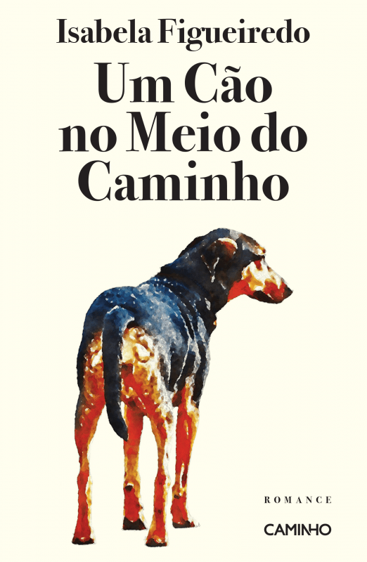 Um CÃo no Meio do Caminho de Isabela Figueiredo 2022 O Coiso